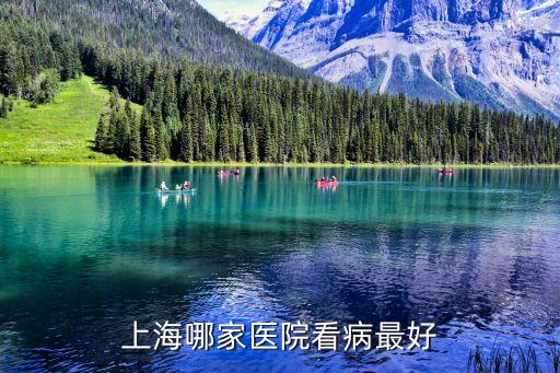 上海市淮南醫(yī)院哪家最好，上海哪家醫(yī)院看病最好