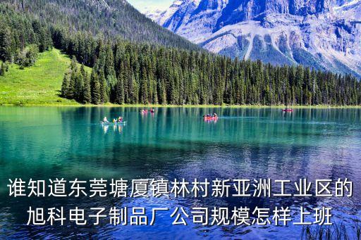 誰(shuí)知道東莞塘廈鎮(zhèn)林村新亞洲工業(yè)區(qū)的旭科電子制品廠公司規(guī)模怎樣上班
