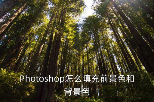 Photoshop怎么填充前景色和背景色