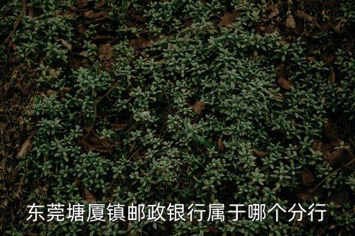 東莞塘廈鎮郵政銀行屬于哪個分行