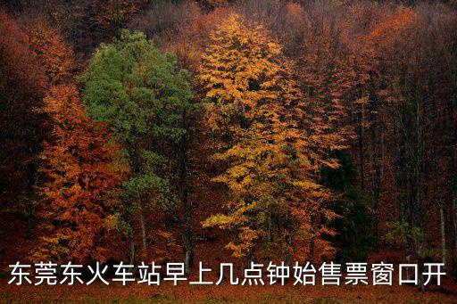 東莞東站網上幾點售票，東莞東火車站早上幾點鐘始售票窗口開