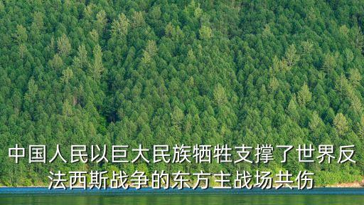 中國(guó)人民以巨大民族犧牲支撐了世界反法西斯戰(zhàn)爭(zhēng)的東方主戰(zhàn)場(chǎng)共傷