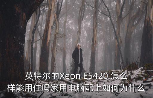 英特爾的Xeon E5420 怎么樣能用住嗎家用電腦配上如何為什么