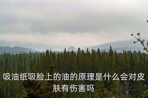 吸油紙吸臉上的油的原理是什么會對皮膚有傷害嗎