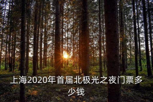 上海2020年首屆北極光之夜門票多少錢
