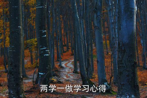 兩學(xué)一做學(xué)習(xí)心得