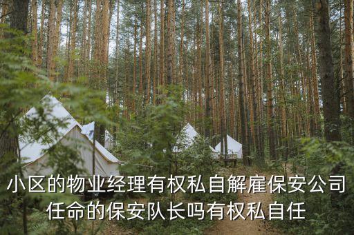 上海市保安公司經理或隊長，保安隊長的上司是誰