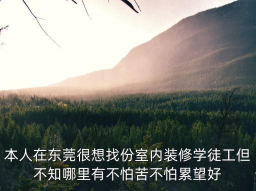 本人在東莞很想找份室內裝修學徒工但不知哪里有不怕苦不怕累望好