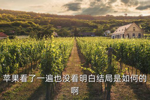 北漂一族的生活，蘋果看了一遍也沒看明白結局是如何的啊