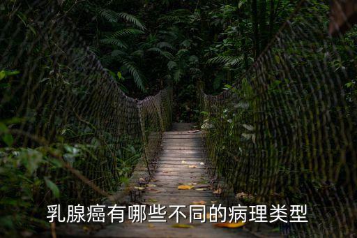 腫瘤病理，屬于良性腫瘤病理特點(diǎn)的是