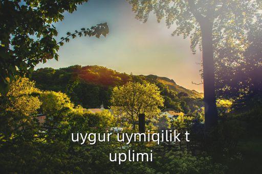 uygur uymiqilik tuplimi