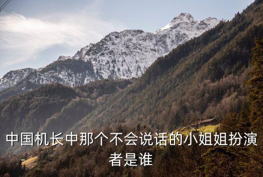 薩倫伯格，中國機長中那個不會說話的小姐姐扮演者是誰