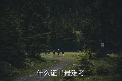 什么證書最難考