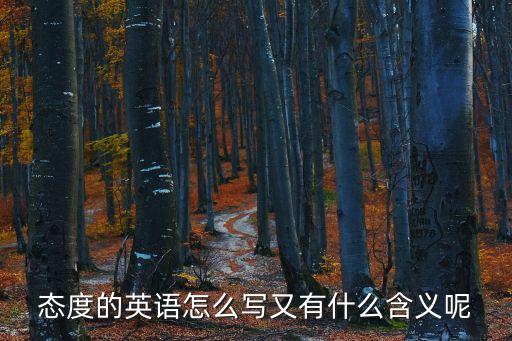態度英語，對持態度用英語怎么說