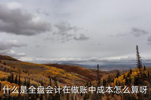 什么是全盤會計在做賬中成本怎么算呀