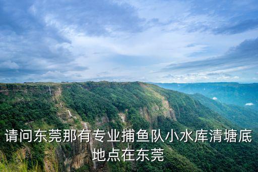 請問東莞那有專業捕魚隊小水庫清塘底地點在東莞