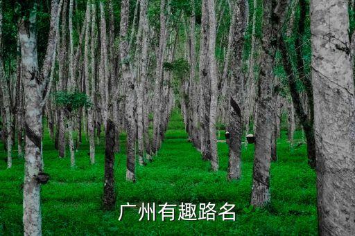 路名，廣州有趣路名