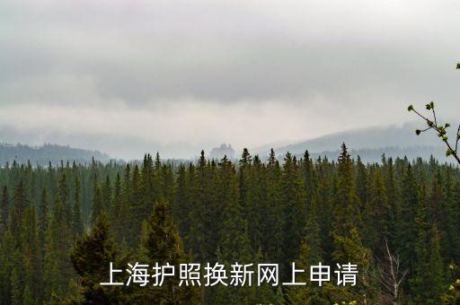 上海護照換新網上申請