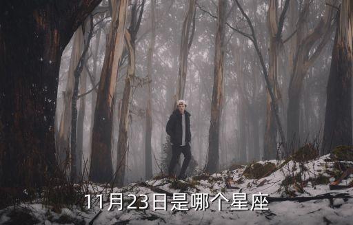 11月23日是什么星座，11月23是什么星座
