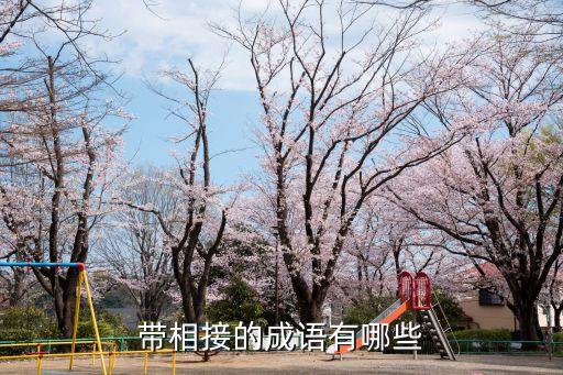 帶相接的成語有哪些