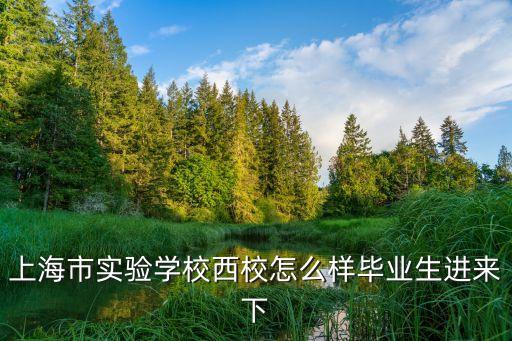 上海市實驗學校西校怎么樣畢業生進來下