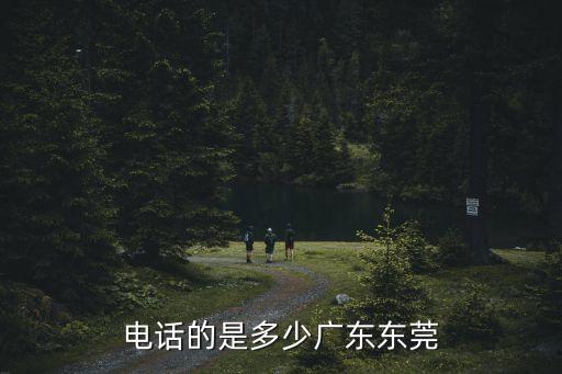電話的是多少廣東東莞