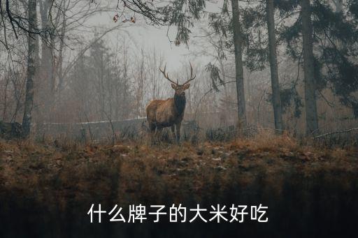什么牌子的大米好吃