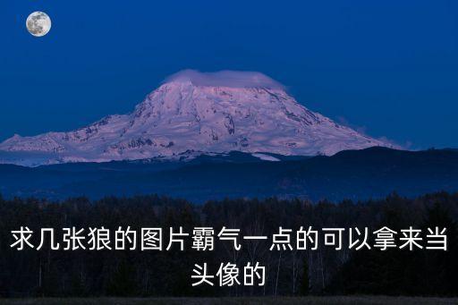求幾張狼的圖片霸氣一點的可以拿來當頭像的