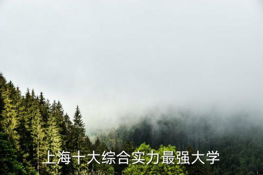上海十大綜合實力最強大學