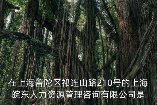 在上海普陀區祁連山路210號的上海皖東人力資源管理咨詢有限公司是