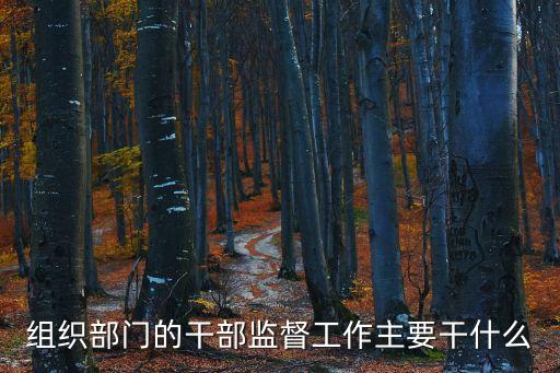 組織部門的干部監督工作主要干什么