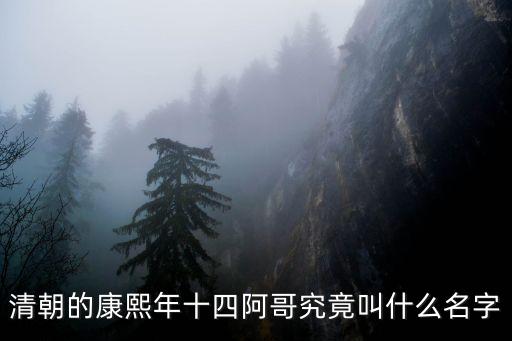 14阿哥，清朝的康熙年十四阿哥究竟叫什么名字
