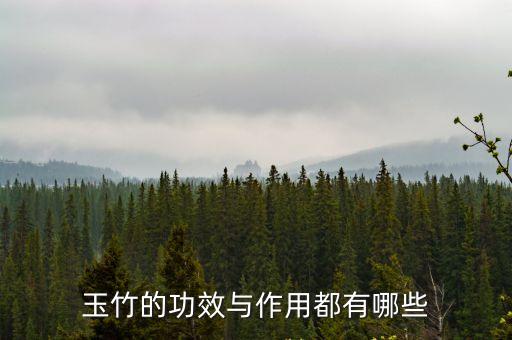 玉竹的功效與作用都有哪些