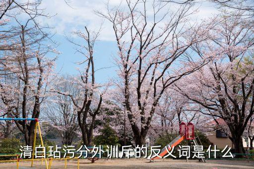 清白玷污分外訓斥的反義詞是什么