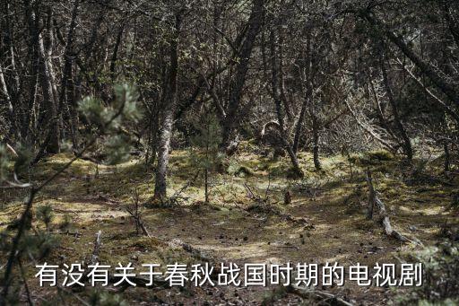 有沒有關于春秋戰國時期的電視劇