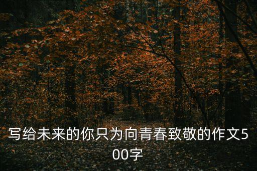 給未來(lái)的你，寫(xiě)給未來(lái)的你只為向青春致敬的作文500字