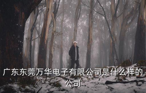 東莞市萬華，廣東東莞萬華電子有限公司是什么樣的公司