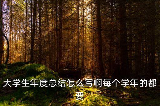 大學生年度總結怎么寫啊每個學年的都要