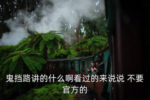 鬼擋路講的什么啊看過的來說說 不要官方的