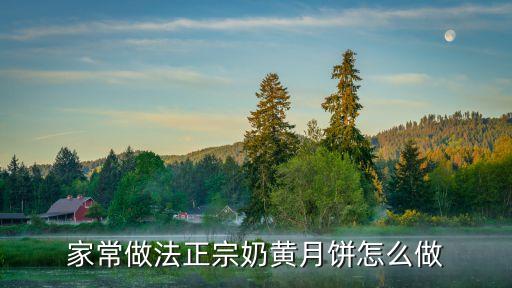 奶黃月餅，奶黃月餅的家常做法大全怎么做好吃視頻