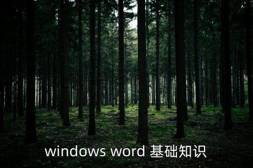 word基礎知識，關于word基礎知識1