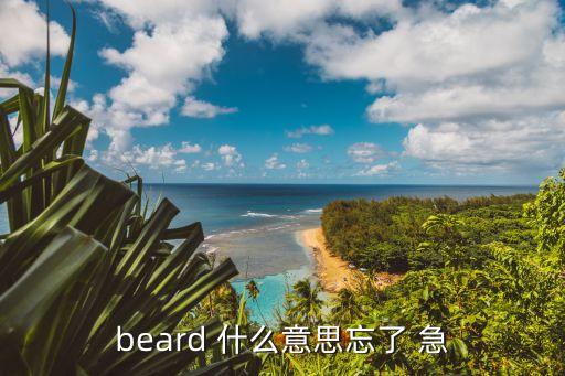 beard，beard 什么意思忘了 急