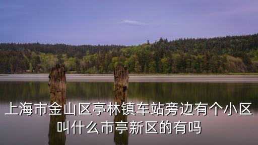 上海市金山區建邦華庭，上海金山區的房子好嗎 在那邊買房哪個地段好 有升值空間 藍色收