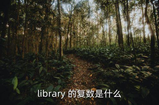 library的復數形式，library 的復數是什么