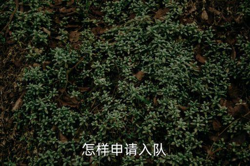 怎樣申請入隊