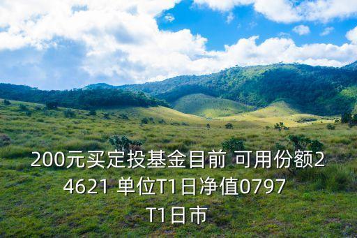 200元買定投基金目前 可用份額24621 單位T1日凈值0797 T1日市