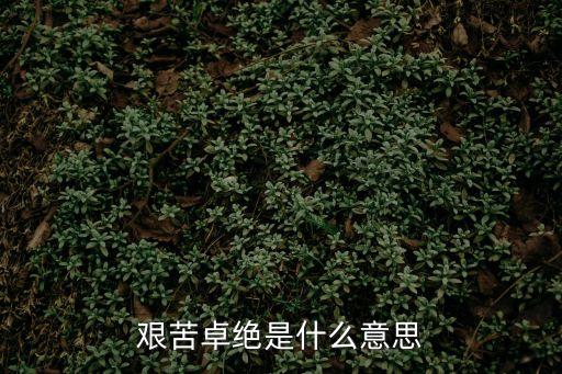 艱苦卓絕，艱苦卓絕是什么意思
