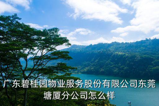 廣東碧桂園物業服務股份有限公司東莞塘廈分公司怎么樣