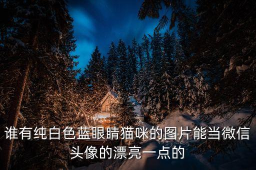 白貓圖片，bilibili趴在桌子上的黃白貓睜大了眼曾被p出一只小手很可愛求圖