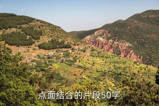 點面結合的片段50字